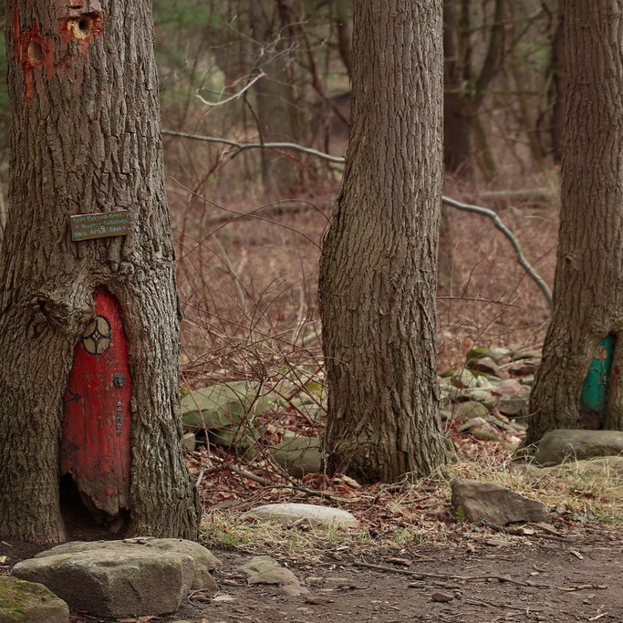 Fairy houses in the trees