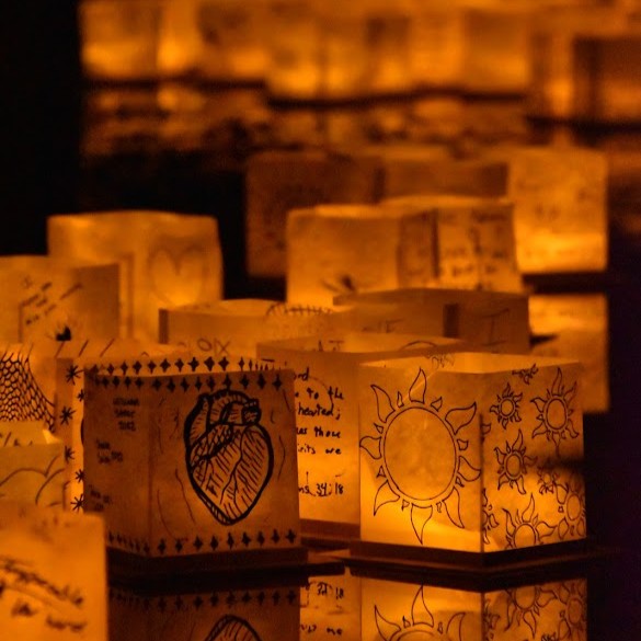 Lanterns floating on water
