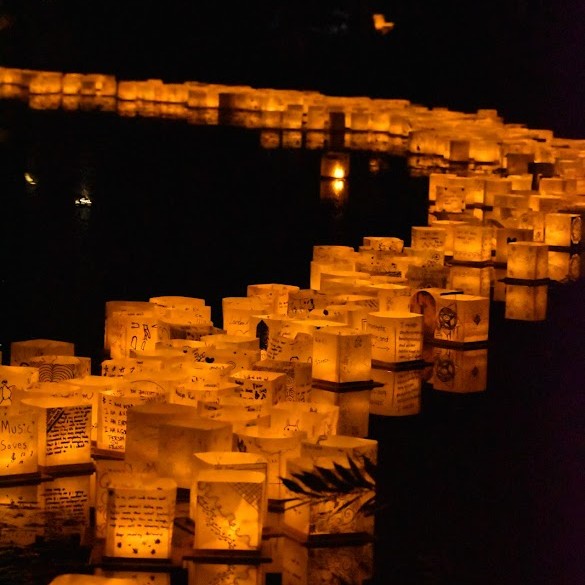 Many lanterns floating on water