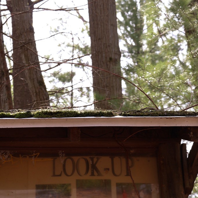 Trailhead that says "Look up"