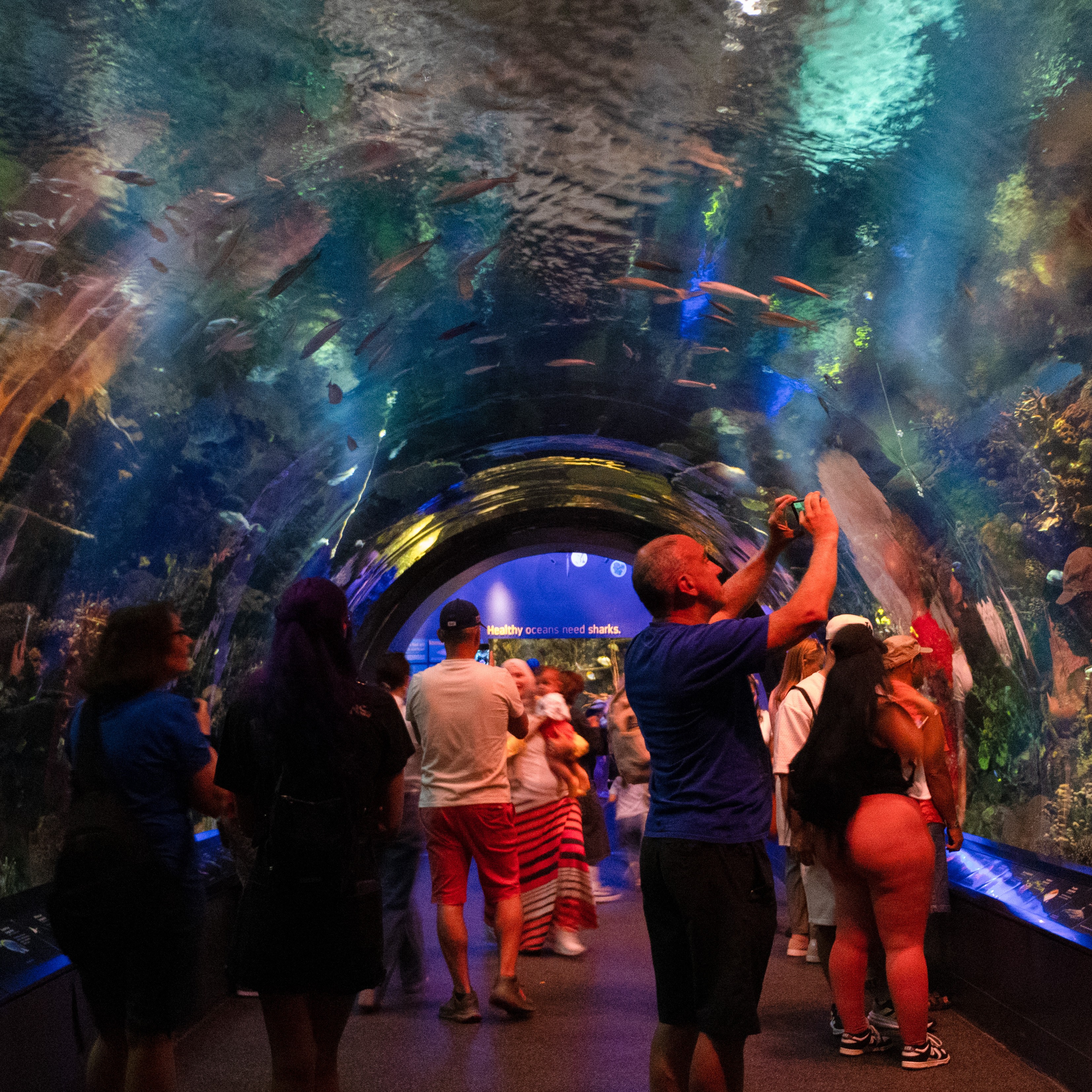 Aquarium tunnel