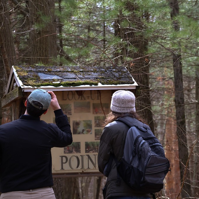 Two hikers at a trailhead